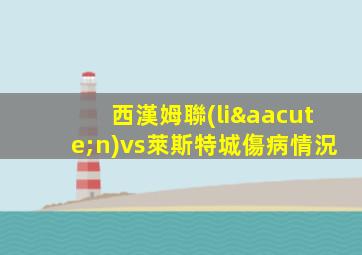 西漢姆聯(lián)vs萊斯特城傷病情況