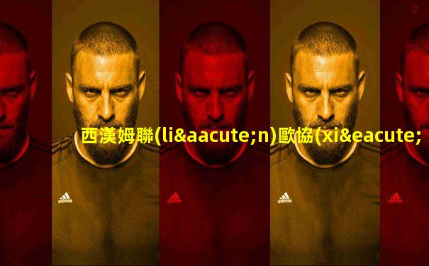 西漢姆聯(lián)歐協(xié)杯冠軍