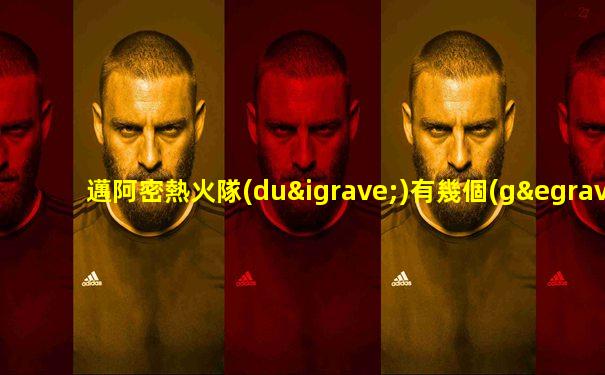 邁阿密熱火隊(duì)有幾個(gè)總冠軍