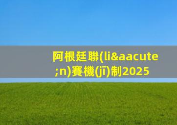 阿根廷聯(lián)賽機(jī)制2025