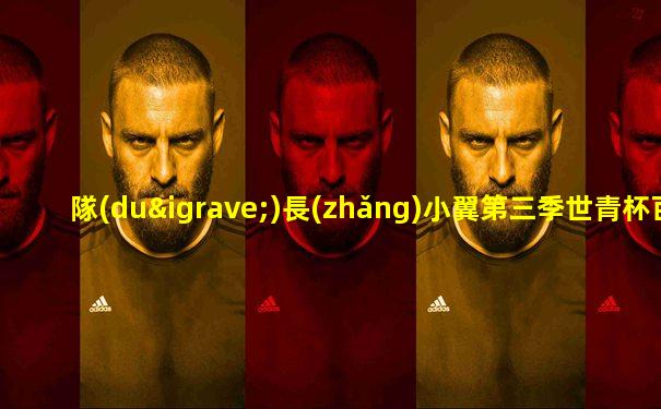 隊(duì)長(zhǎng)小翼第三季世青杯百度網(wǎng)盤