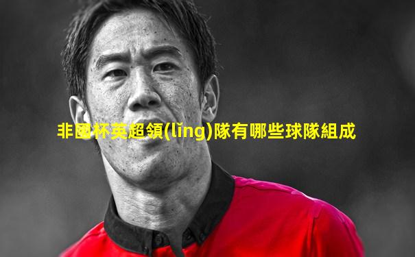 非國杯英超領(lǐng)隊有哪些球隊組成