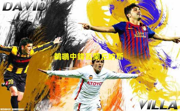 鵜鶘中鋒瓦蘭丘納斯